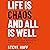 Life Is Chaos and All Is Well by Steve Huff