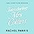 Introducing Mrs Collins by Rachel Parris