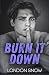 Burn it Down (Kings of Castlebrook)