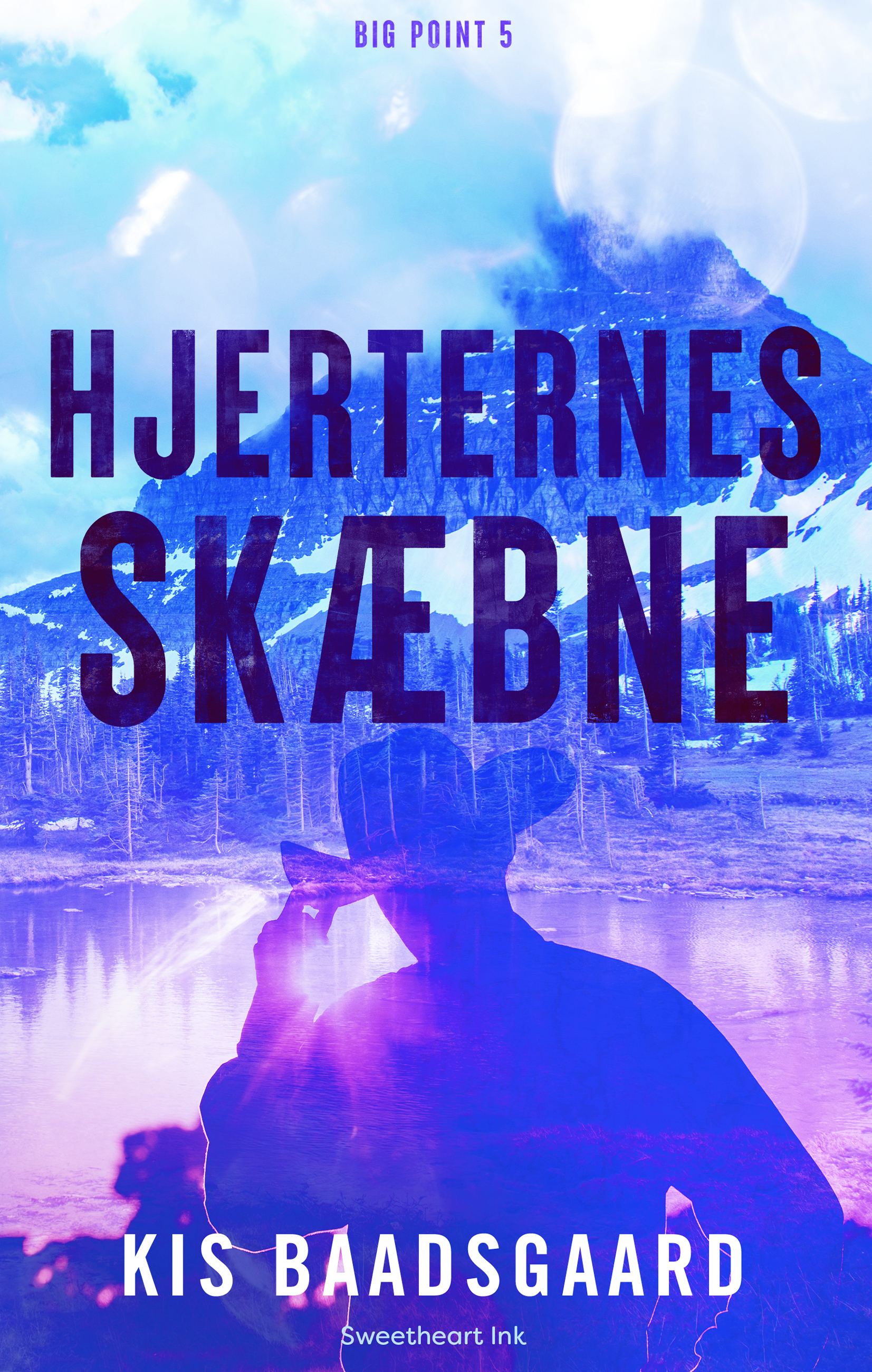 Hjerternes skæbne (Big Point, #5)