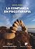 La confianza en psicoterapia by John G. Allen