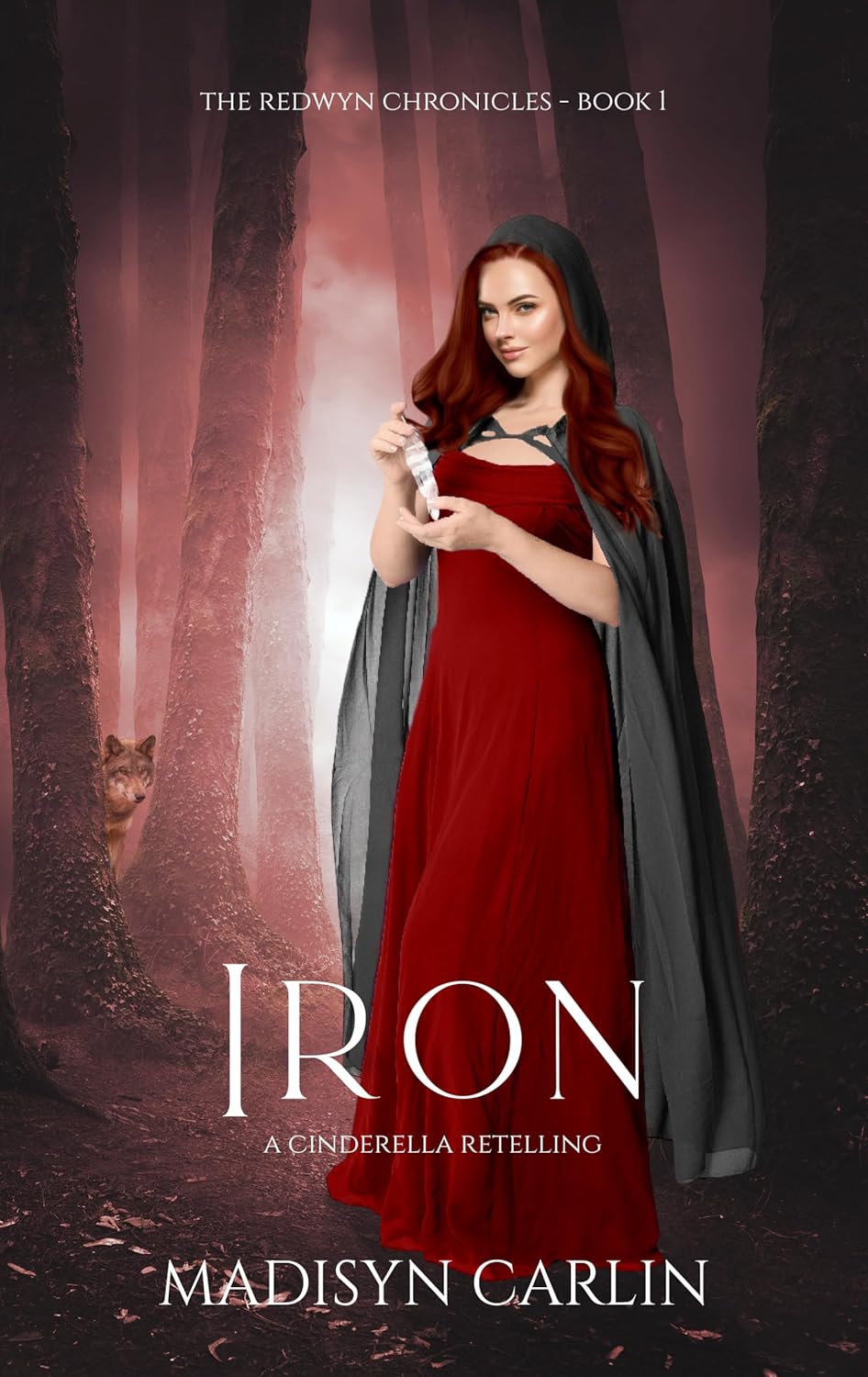 Iron (The Redwyn Chronicles #1)