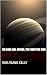 The Dark Sun by Wolfgang Kelly