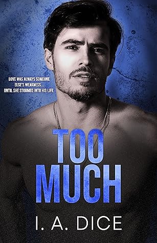 Too Much (Hayes Brothers #1)
