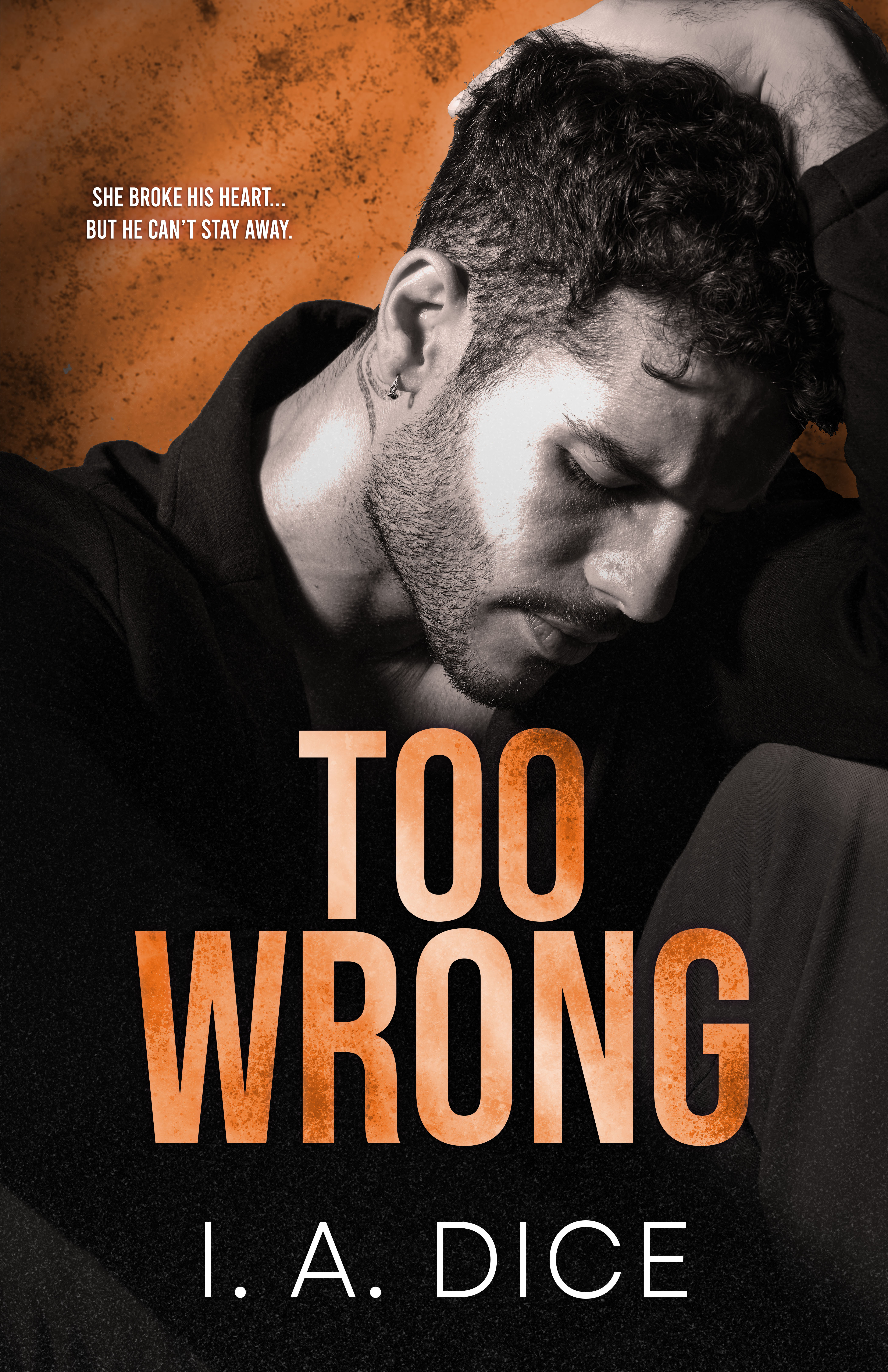 Too Wrong (Hayes Brothers #2)