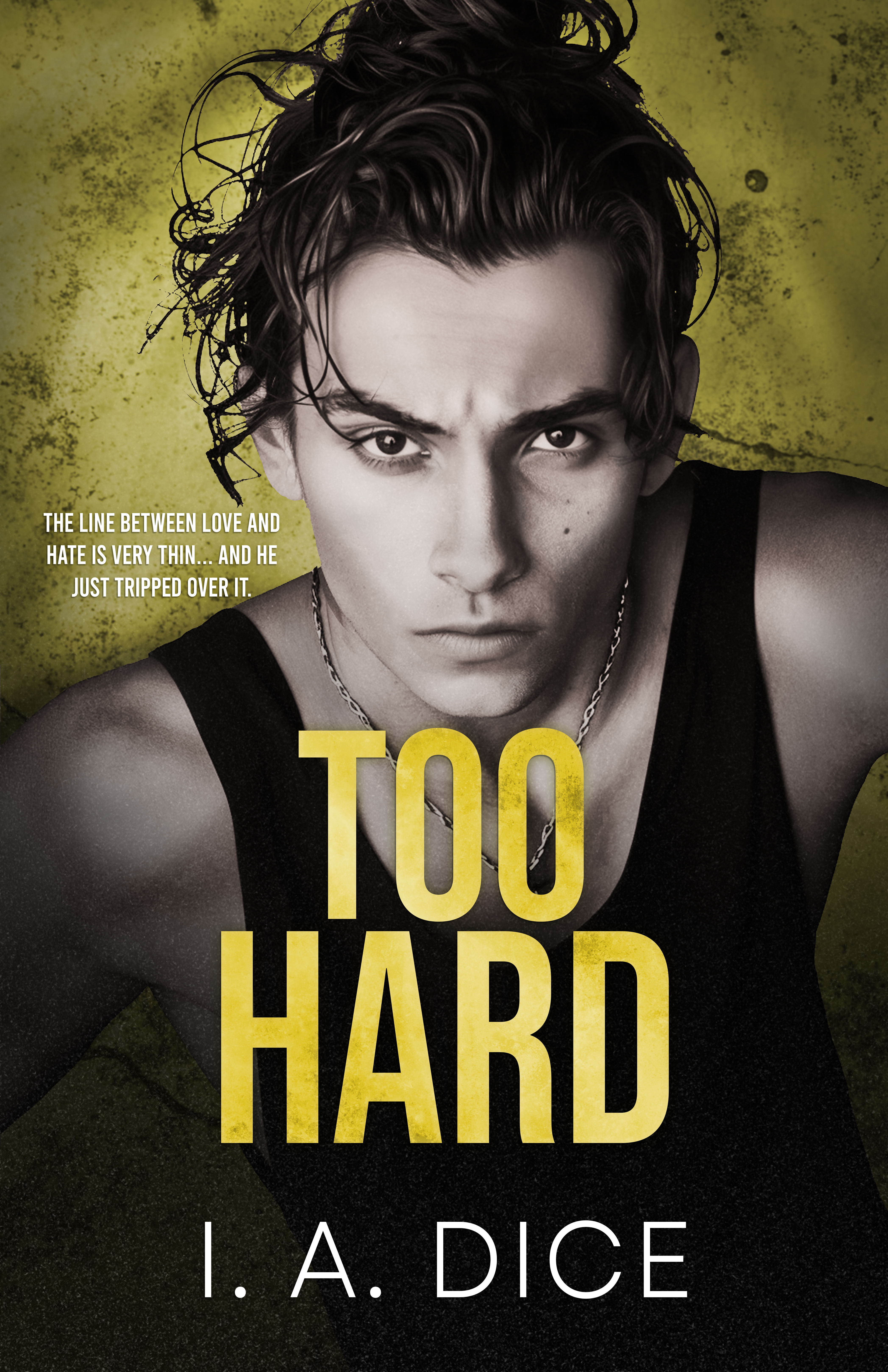 Too Hard (Hayes Brothers #5)