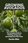 GROWING AVOCADOS ...