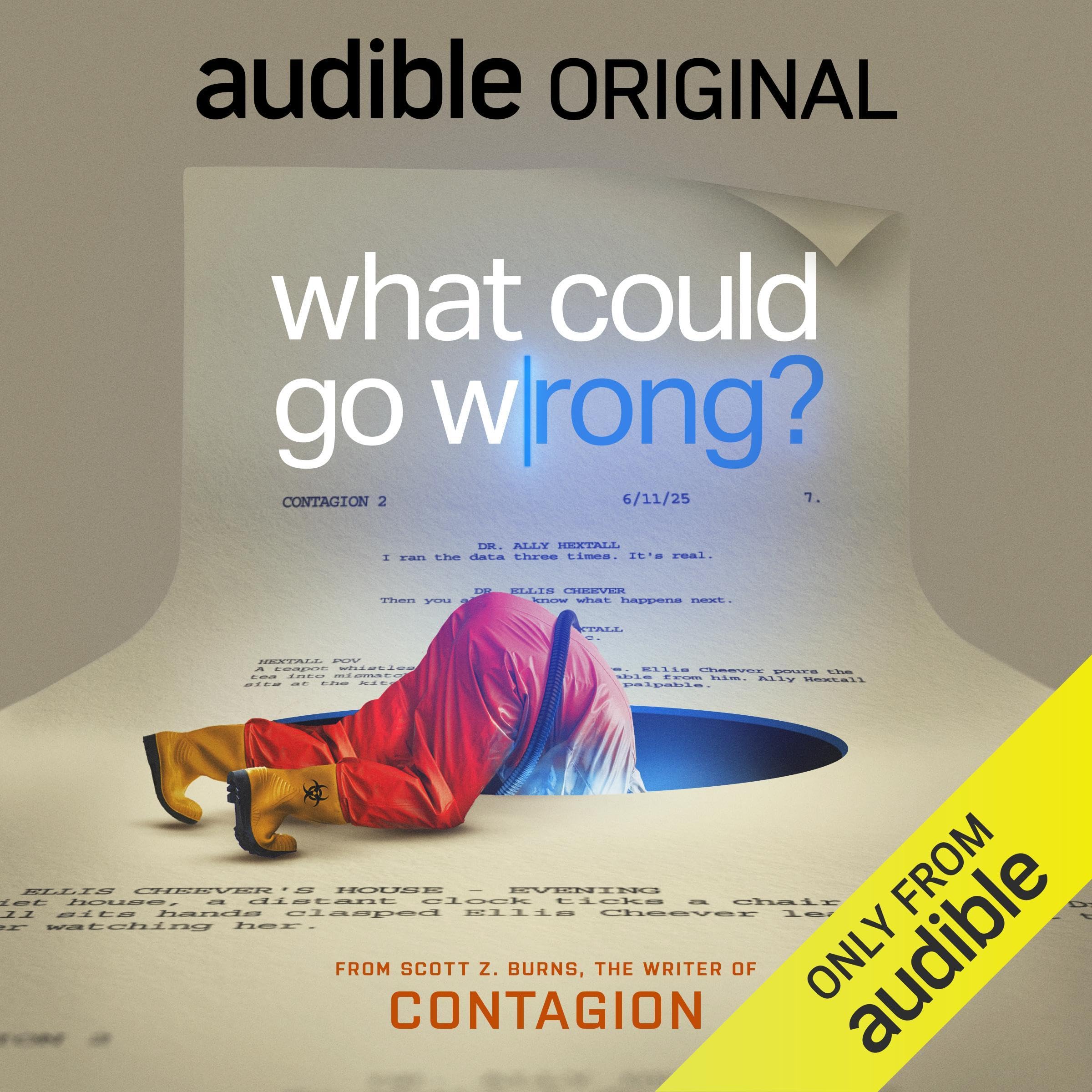 What Could Go Wrong? (Audiobook)