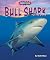 Bull Shark