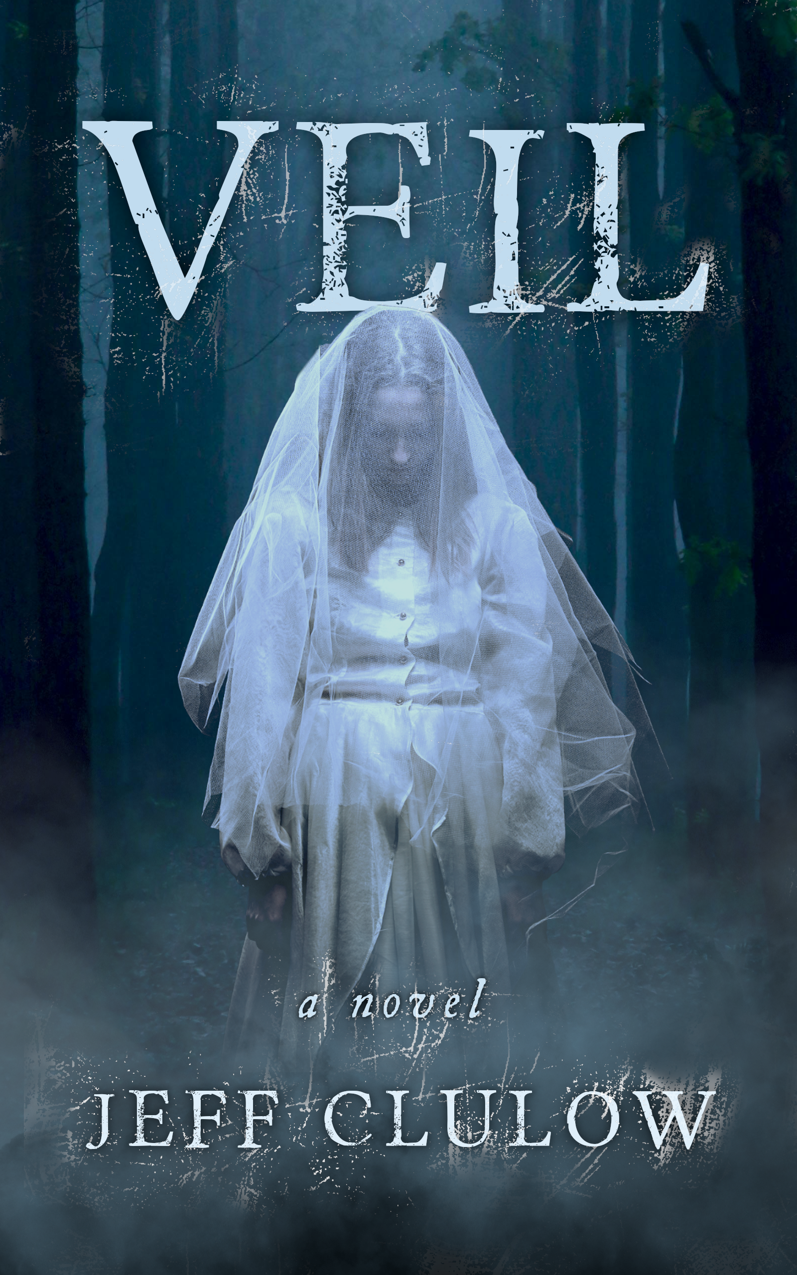 Veil (ebook)