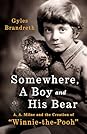 Somewhere, a Boy and a Bear by Gyles Brandreth