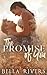 The Promise Of You: A Small...
