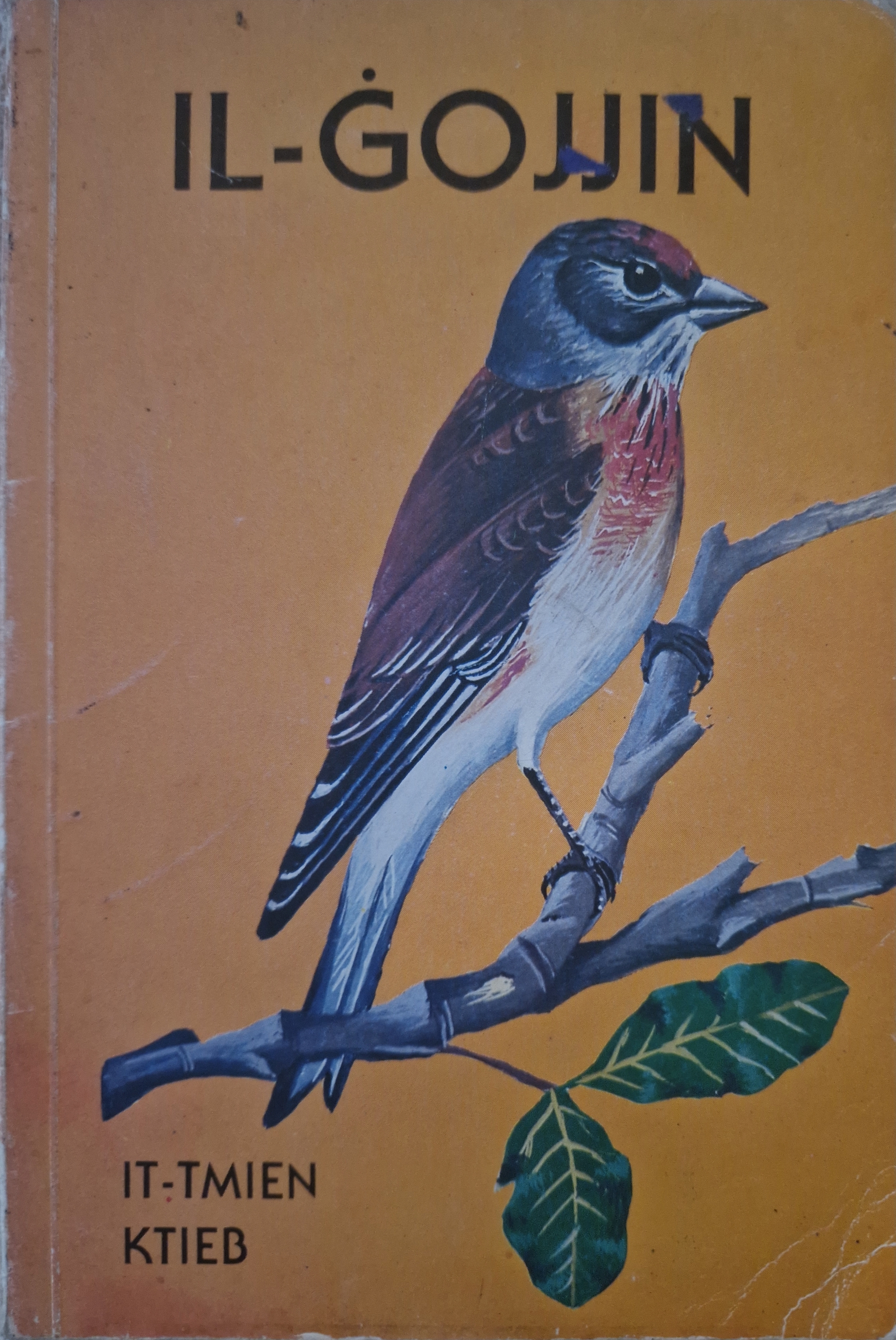 Il-Ġojjin - It-Tmien Ktieb (Paperback)