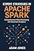 Expert Strategies in Apache Spark: Comprehensive Data Processing and Advanced Analytics