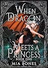 When a Dragon Mee...