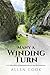 MANY A WINDING TURN by Allen Cook