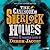 The Casebook of Sherlock Holmes (Sherlock Holmes, #9)