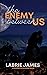 The Enemy Between Us by LaBrie James