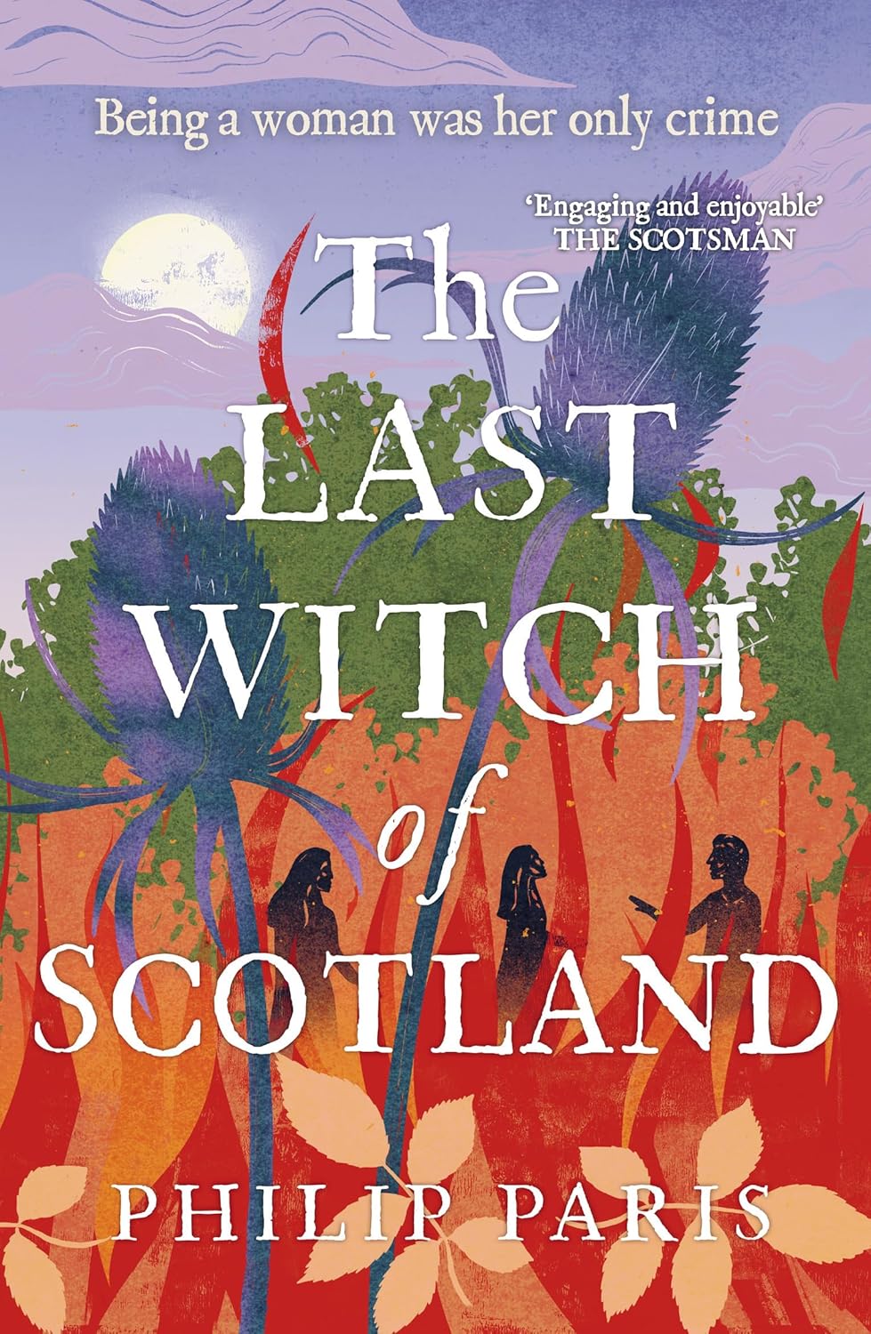 Read The Last Witch of Scotland