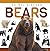 Bears by Alex Hall
