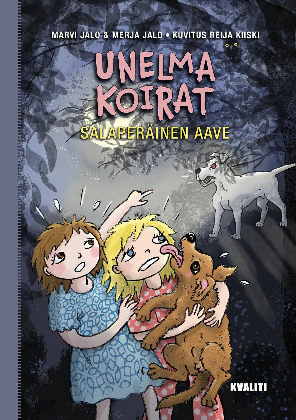 Salaperäinen aave (Hardcover)