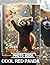 Cool Red Panda Photo Book: ...