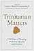 Trinitarian Matters: 1700 Years of Shaping Christian Identity and Practice
