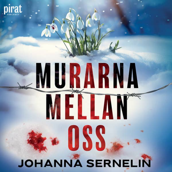 Murarna mellan oss (Audiobook)