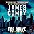 FDR Drive by James B. Comey