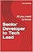 Senior Developer to Tech Lead: All you need to know