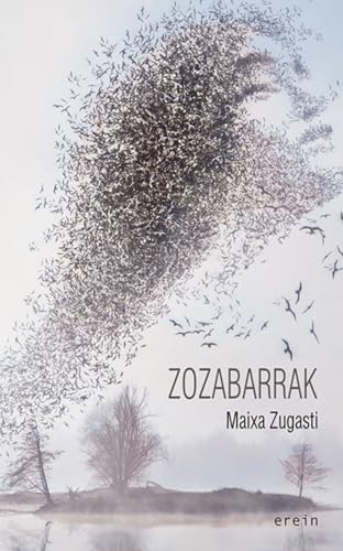Zozabarrak (Paperback)