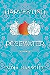 Harvesting Rosewater
