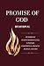 Promise of God Devotional by Amber Lee