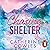 Chasing Shelter (Sparrow Falls #5)
