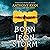 Born of an Iron Storm: The Age of Wrath, Book 2