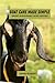 Goat care made simple: Smar...