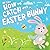 My First How to Catch the Easter Bunny
