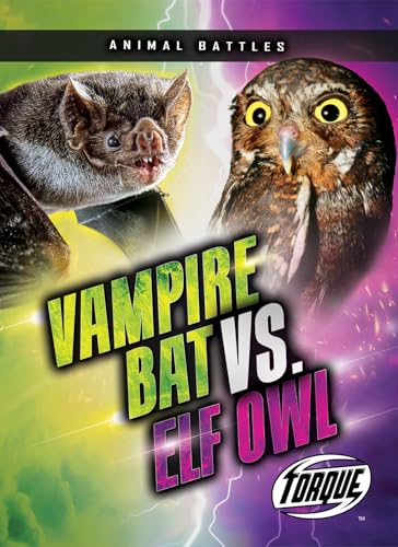 Vampire Bat Vs. Elf Owl (Animal Battles)