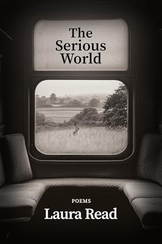 The Serious World (Paperback)