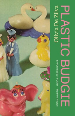 Plastic Budgie (Paperback)