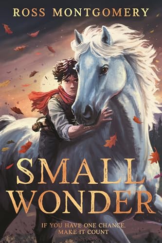 Small Wonder (Paperback)