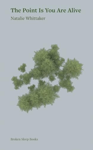 The Point Is You Are Alive (Paperback)