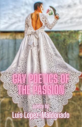 Gay Poetics of the Passion (Paperback)