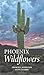 Phoenix Wildflowers: A Fiel...