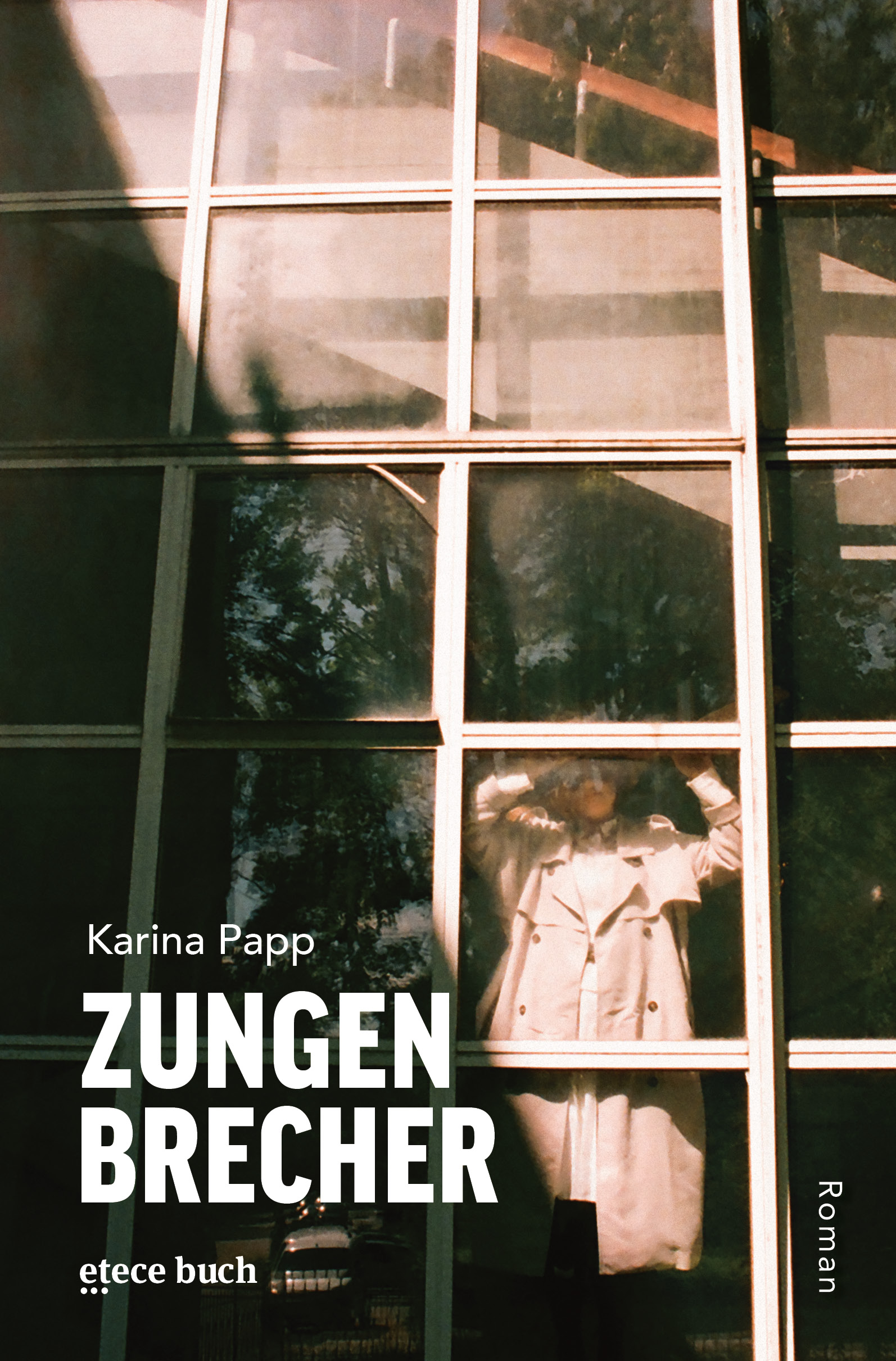 Zungenbrecher (Paperback)