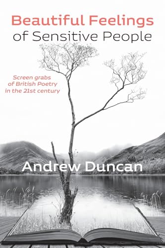 Beautiful Feelings of Sensitive People: Screen grabs of British Poetry in the 21st century (Paperback)