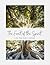 The Fruit of the Spirit: A Ten-Week Study in Galatians