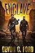 Enclave (Nation Down, #1)