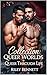 Collection: Queer Worlds + Queer Through Life: | 12 + 2 Gay Stories | Queer Stories – A Collection of Touching, Bold & Honest Tales (The Dominant Encounters Series)