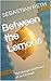 Between the Lemons: The Unexpected Power of Just Enough